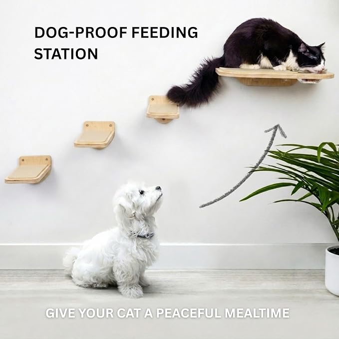 INICIO Cat Shelves - Feeding Shelf with 3 Cat Wall Steps - Natural Wood | Cat Wall Shelves with Wall Mounted Cat Food Bowls - Dog Proof Feeding Station and Convenient Feeder for Cats up to 15lbs - Image 4