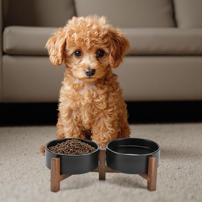 SPUNKYJUNKY Ceramic Dog Bowls with Acacia Wood Stand - Raised Dog Food and Water Bowl Set for Small Dogs (13.52 OZ, Black) - Image 7