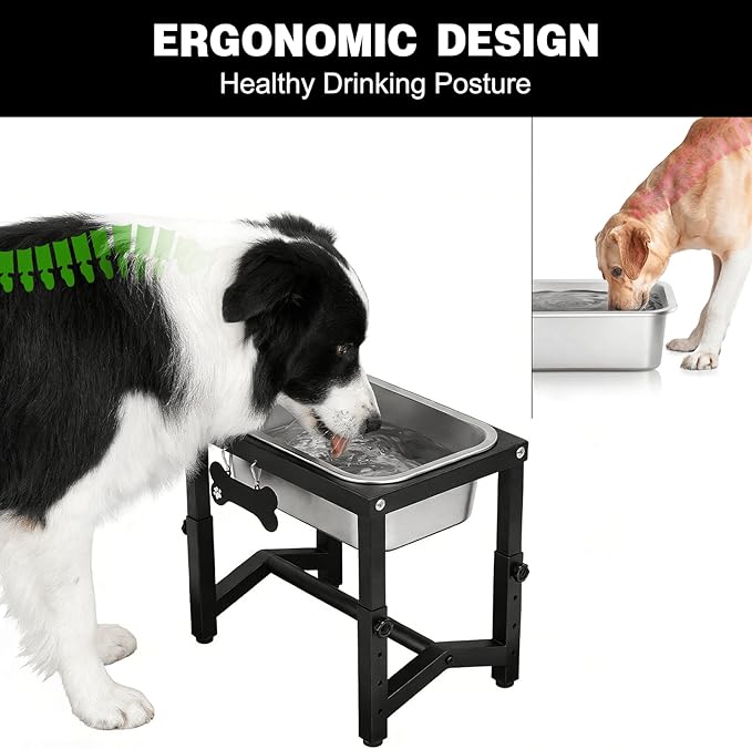 1.2 Gallon Elevated Large Dog Water Bowl, 4 Adjustable Height 7.8'',9.2'',10.6'',12''Raised Stainless Steel Bowl Stand for Small/Medium/Large Breed, Metal Dog Feeding Station for Relief Joint Pressure - Image 2