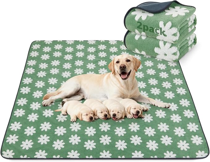 LOOBANI Extra Large Whelping Pad, 48"x48" Dog Pee Pads Washable, 2 Pack | Soft Reusable Dog Playpen Mat, Fast Absorbent, Non Slip, Waterproof And Leakproof For Floor, Crate, Potty Training by LOOBANI