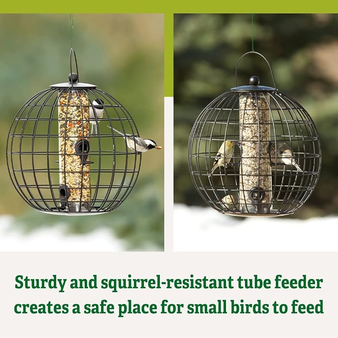 Gardener's Supply Company Globe Cage Bird Feeder | Outdoor Sturdy and Squirrel Proof Hanging Cage | Best for Finches Hummingbirds Nuthatches and Other Small Birds - Holds 3 Cups of Seeds - Image 2