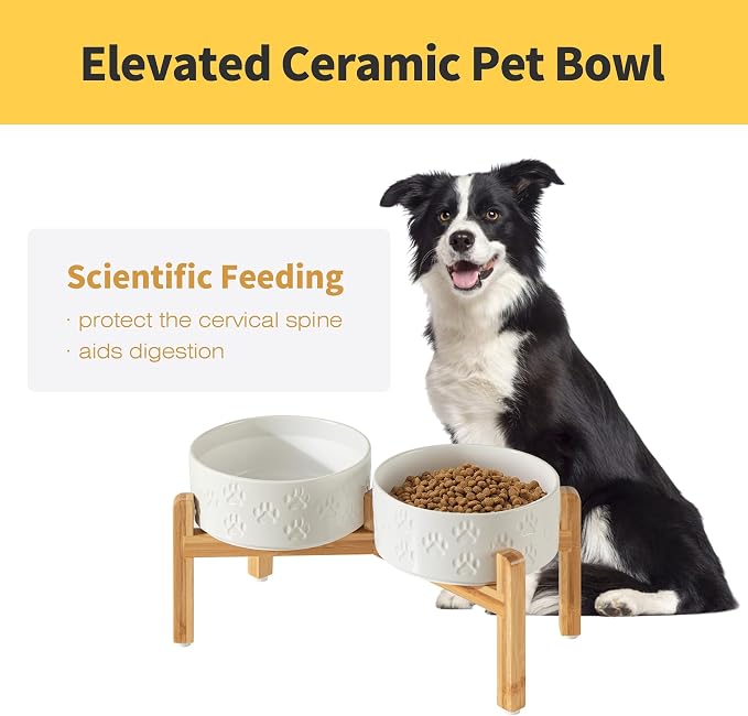 Elevated Ceramic Dog Bowl Set, Anti-Skid Bamboo Stand, White, 7.3 inch | Food and Water Bowls with Fixed Non-Slip Rubber Ring, Microwave Safe, Easy to Clean, 5 Cup per Bowl, for Medium Sized Dogs - Image 2