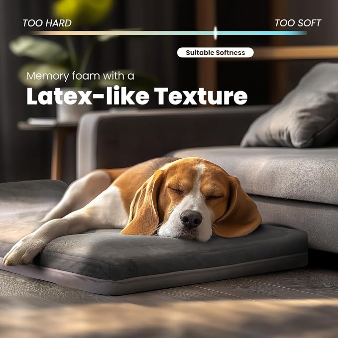 Laifug Orthopedic Dog Beds for Large Dogs,3" Memory Foam Dog Beds,Durable Water Proof Liner Removable and Washable, Nonskid Bottom,Grey 40"x25"x5.5" - Image 2