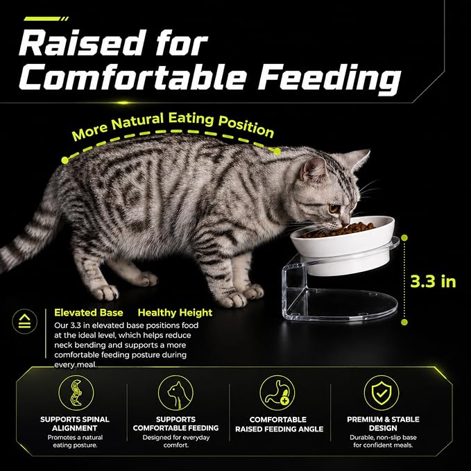 LivLab Mker Elevated Cat Food Bowl, Tilted Water Bowl,Anti Vomiting and Protect Pets' Spines Raised Melamine Pet Dishes for Small Dogs, Flat-Faced Cats & Kittens, White, 2 Pack - Image 6