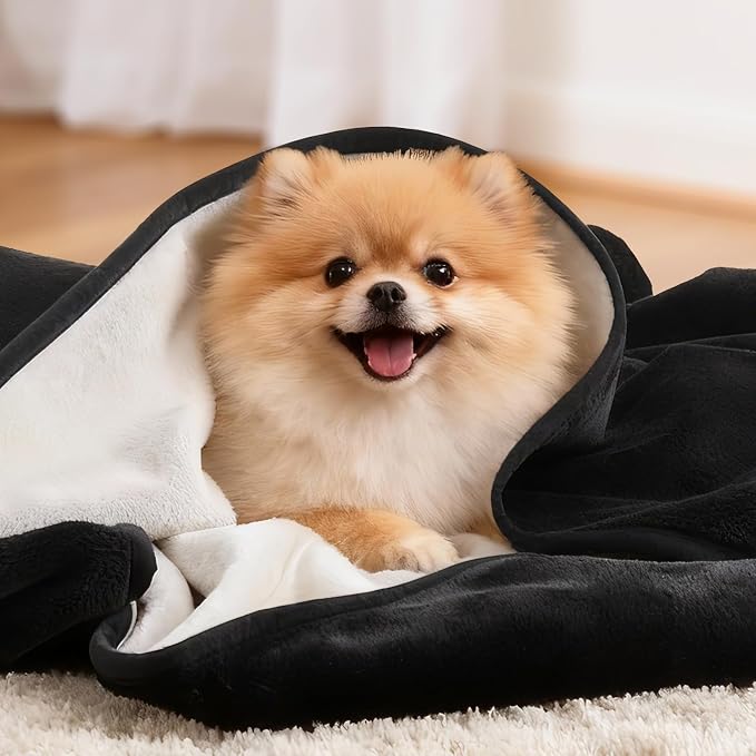LOOBANI Waterproof Dog Blanket for Small Dogs, Pet Blanket 30" x 40", Black | Double Side Liquid-Proof, Puppy Blanket for Dog Cat Bed, Crate, Playpen, Reversible Soft Flannel, Couch Cover Throw - Image 6
