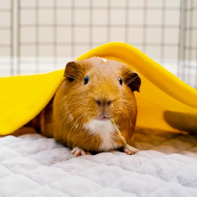 GuineaDad Original Liner - Yellow Fleece Guinea Pig Bedding - Reusable Guinea Pig Cage Liner - Extra Absorbent with Waterproof Bottom and Burrowing Pocket - Small Pet Supplies - 2x3 C&C - Image 6