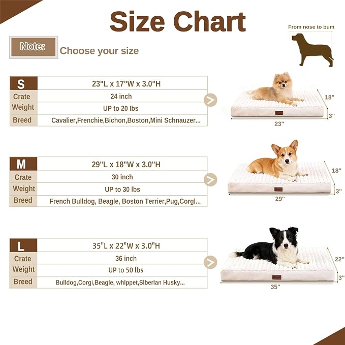 Orthopedic Dog Bed for Large Dogs, Firm Egg Crate Foam, Non-Slip Bottom | Machine Washable Cover, Plush Faux Rabbit Fur Top, Pet Beds for Crate, Floor & Car, Up to 50 lbs, Beige, 35"L x 22"W x 3"H - Image 9