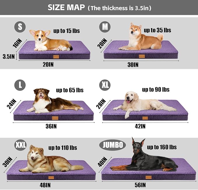 Patas Lague Orthopedic Large Dog Bed Washable Pet Sofa Mat 36''X24''Purple | Egg-Crate Foam Dog Couch For Large Sized Dogs, Waterproof Removable Cover, Soft Pet Crate Bed With Nonskid Bottom - Image 5