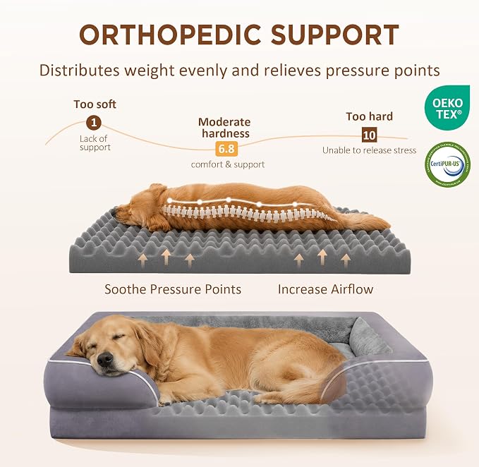 Comfort Expression Orthopedic Dog Beds for Large Sized Dog with Bolster | Waterproof Dog Couch Bed with Washable Cover & Non-Slip Bottom, Supportive Egg Crate Foam Large Pet Bed, 38x25 Inch - Image 2