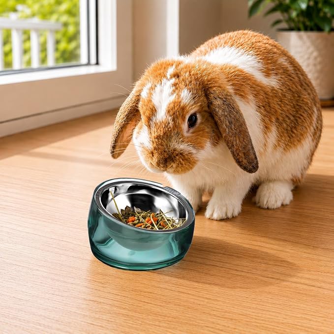 Felli Oblik 15° Tilted Small Animal Bowls for Pet Food & Water 6 oz Stainless Steel Dish Removable, Slanted Metal Plate Feeder for Kitten Puppy Rabbit Bunny Guinchilla Pig (0.75 Cups, Classic) - Image 8