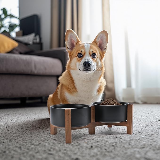 SPUNKYJUNKY Ceramic Dog Bowls with Acacia Wood Stand - Raised Dog Food and Water Bowl Set for Medium Dogs (28.74 OZ, Black) - Image 7