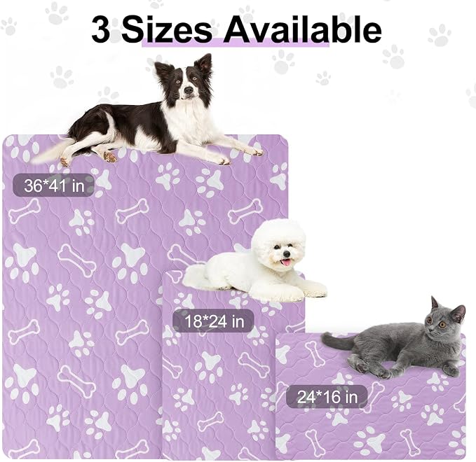 BEAUTYZOO 6 Pack Washable Pee Pads for Dogs, Reusable Puppy Pads for Potty Training, Waterproof Super Absorbent Whelping Pads Mats Non Slip Against Urine for Small Medium Dogs Cats, 16" x 24" - Image 2