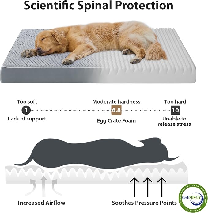 LEXTRO Giant Waterproof Orthopedic Dog Bed for Large Size Dogs, 55x42 | Oversized Dog Bed Washable with Removable Washable Cover, Big Comfortable Dogs Mat, Gray - Image 2