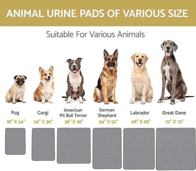 CoolShields Washable Puppy Dog Pee Pad, 18"X24" 4pcs Reusable Puppy Pads, Waterproof Whelping Training Mat for Playpen Crate, Floor, Bed,Sofa and Trunk [Premium Fabrics that can be Used by Humans] - Image 2