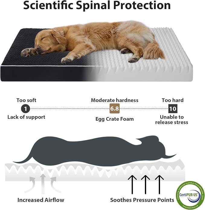 LEXTRO XL Waterproof Orthopedic Dog Bed for Crate Mat, 44x32 Extra Large | Dog Bed Washable with Removable Washable Cover, Comfortable Dogs Pad for Large Size Dogs, Black - Image 2