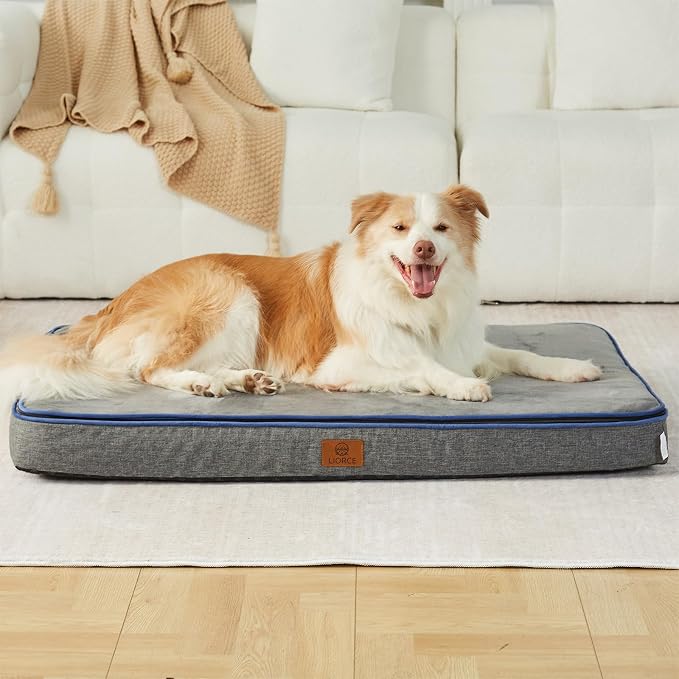 LIORCE Memory Foam XL Dog Bed - 4” Thick Orthopedic Beds for Extra Large Dogs - Waterproof Dog Bed with Removable Washable Cover & Wrap-Around Zipper - Ultimate Comfort and Easy Maintenance - Image 6