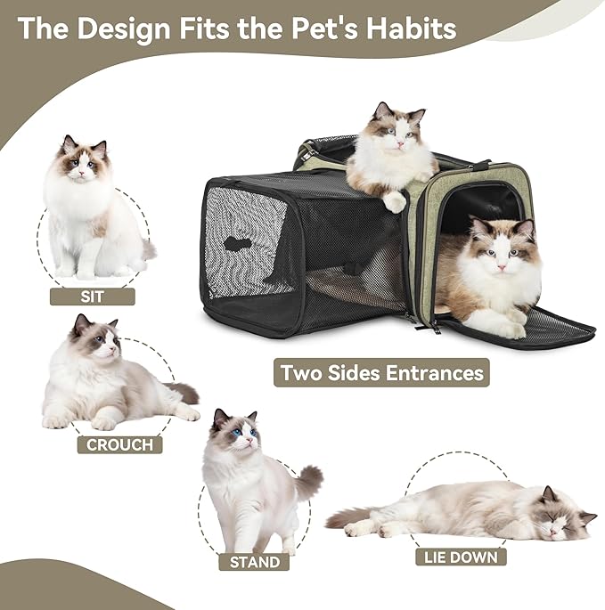 Petsfit 19"X12" X12" Expandable Pet Carrier, Square Expansion Reduces Pet Anxiety, Escape-Proof Self-Locking Zippers, 3 Easy-Access Entrances, for Cats & Small Dogs up to 18 lbs