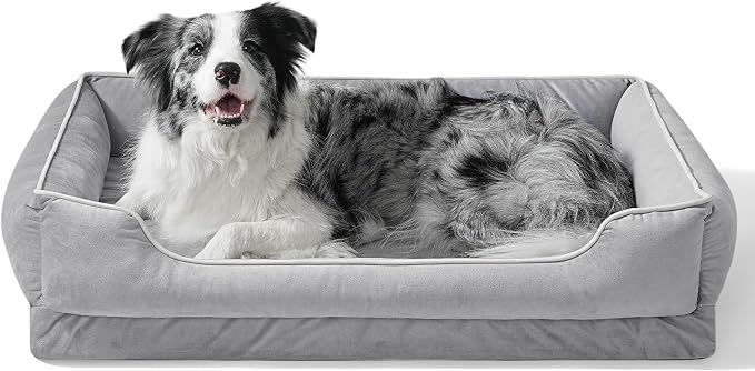 FAIRYPET Orthopedic Dog Bed for Medium to Large Dogs & Cats, Memory Foam Dog Bed with Washable Removable Cover, Top-Grade Dutch Velvet Fabric Pet Sofa Couch for Crate with Nonskid Bottom, Grey by FAIRYPET
