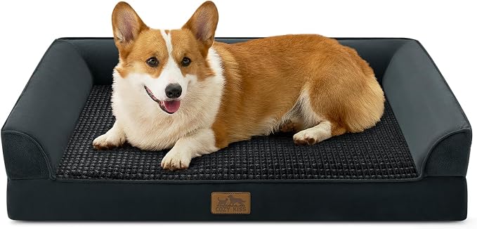 COZY KISS Orthopedic Large Dog Beds, Bolster Pet Couch with Waterproof Lining, Egg Crate Foam Sofa for Pets Up to 65 lbs, U-Shaped, 36x27x6.5 inch, Black by COZYKISS