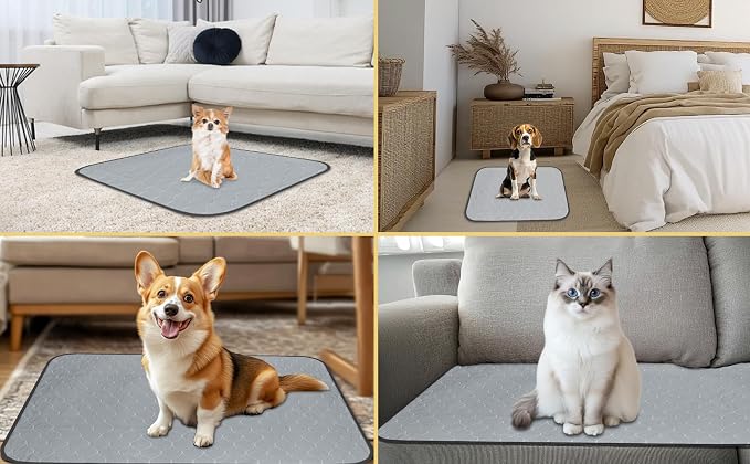 DAHAPYBOO Washable Pee Pads for Dogs 18x24,4 Pack | Reusable Puppy Pads for Dogs Non-Slip Waterproof Pet Training Pads for Crate, Playpen, Bed, Sofa,Whelping Box, Potty Training - Image 6