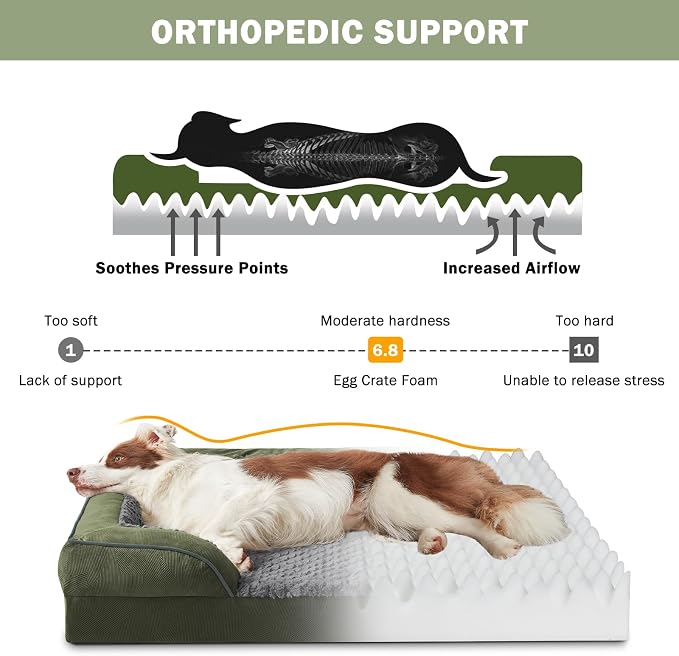 INVENHO Orthopedic Dog Beds Large Sized, XL Egg-Crate Foam Dog Couch with Washable Removable Cover, Waterproof Lining and Nonskid Bottom - Image 2