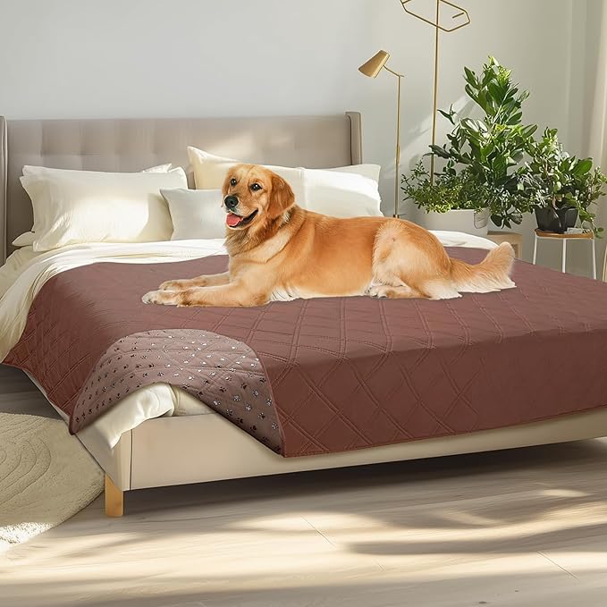 Luciphia Waterproof Couch Cover for Dogs, Non-Slip Pet Sofa Protector | Non-slip waterproof couch cover scratch-resistant machine washable protects sofa bed from spills fur, Coffee Brown, 68" x 82" by luciphia