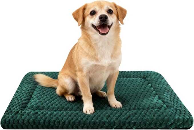 Dog Bed Mat - Dog Crate Pad - Reversible Mat for Pet Comfort - Soft Bed Crate Pads for All Seasons - Durable, Machine Washable Mat for Crates, Travel, and Home (Dark Green, 30" L*20" W*1.5" Th) by FogkissComfyPawsHome