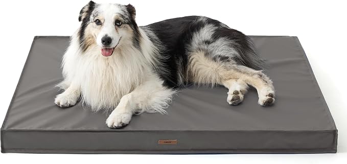 LE SURE Outdoor Waterproof Dog Bed for Large Dogs, Orthopedic Egg Crate Foam Pet Bed with Oxford Fabric Surface and Removable and Durable Cover, Machine Washable, 36''x27'', Grey | Crate Pad for Dogs with Oxford Fabric Surface,Removable Washable Cover,... by Lesure