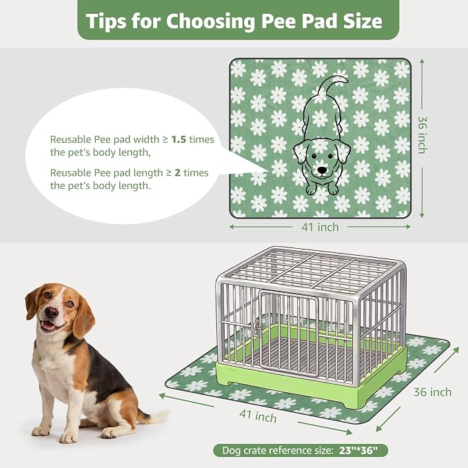 LOOBANI Washable Puppy Pads, Reusable Dog Pee Mat 36"x41", 2 Pack | Super Absorbent, Waterproof, Leakproof, Non-Slip, Soft For Playpen, Crate, Potty Training, Floors - Image 2