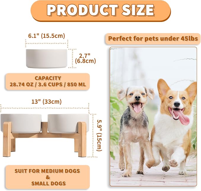 Elevated Ceramic Dog Bowl, 3.6 Cups Dog Food and Water Bowl Set with Stand | 6.1'' Double Dog Feeding Dishes, Non-Slip Raised Dog Feeder for Small and Medium Breeds, 28.74 OZ / 850 ML, White - Image 2