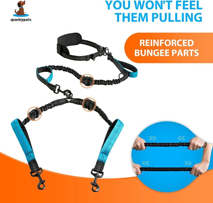 SparklyPets Hands Free Double Dog Leash – Dual Leash for Medium and Large Breeds – Lead for 2 Dogs with Padded Handles, Reflective Stitches, No Pull, Tangle Free - Image 3