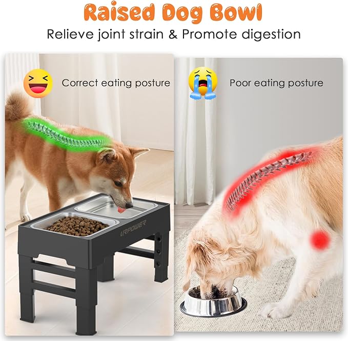 URPOWER Raised Dog Bowls 4 Height Adjustable Elevated Bowl Stand | Stainless Steel Water Bowl Non-Slip Dog Food Bowls Stand for Small Medium Large Dogs and Pets - Image 3