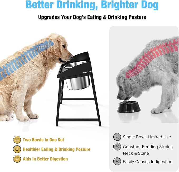 Bobbie & Laxi 15" Elevated Dog Bow for Large Breeds, No-Spill Design | Raised Dog Bowl with Metal Stand, Stainless Steel Dog Food & Water Bowl Set with Raised Splash Wall; Easy to Clean Dog Bowl - Image 4