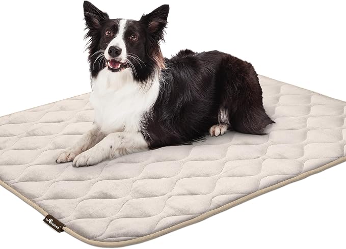 Paw Inspired Washable Padded Crate Mats for Dogs, Beige, 47x29 Inch | Fits 48-inch Kennels, Leakproof, Waterproof Bottom, Plush Dog Pad, Pet Bed - Image 7