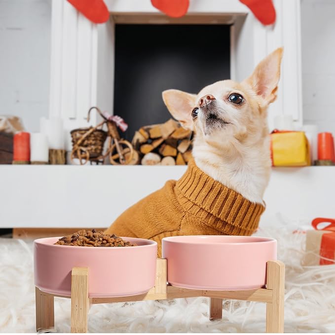 Elevated Ceramic Dog Bowl, 2 Cups Dog Food and Water Bowl Set with Stand | 5.1'' Double Dog Feeding Dishes, Non-Slip Raised Dog Feeder for Cats and Puppies, 16.23 OZ / 480 ML, White - Image 6
