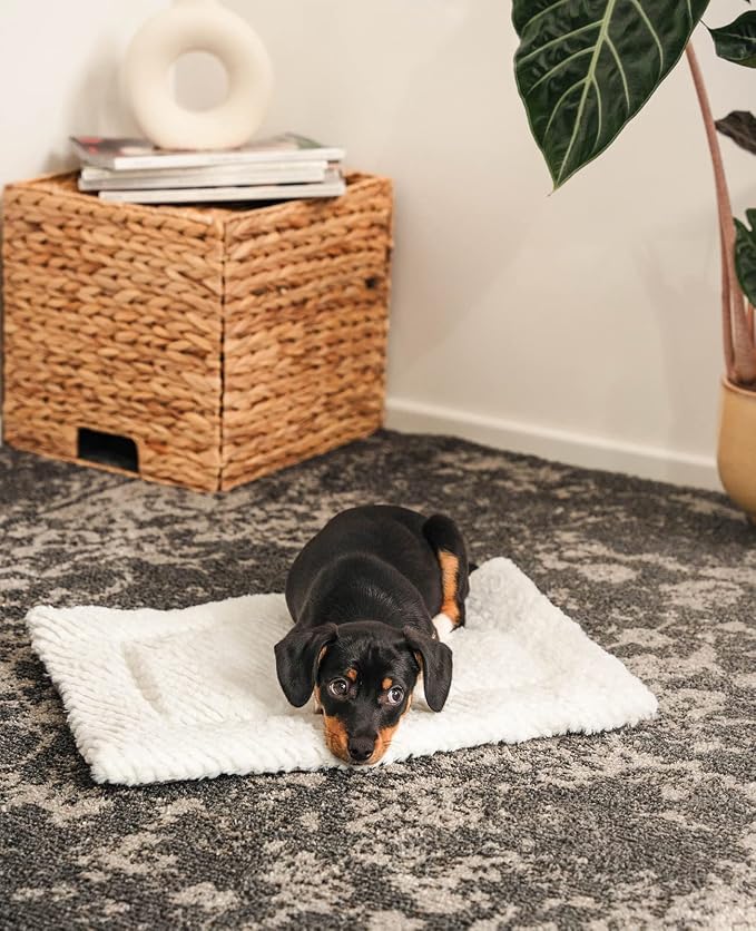 lionto Reversible Warming Blanket for Dogs and Cats, Washable Lined Rug with Hard-Wearing and Fluffy Side, 19,7x13,8 in, hygienic mat with Cold Protection for Pets, Gray - Image 2