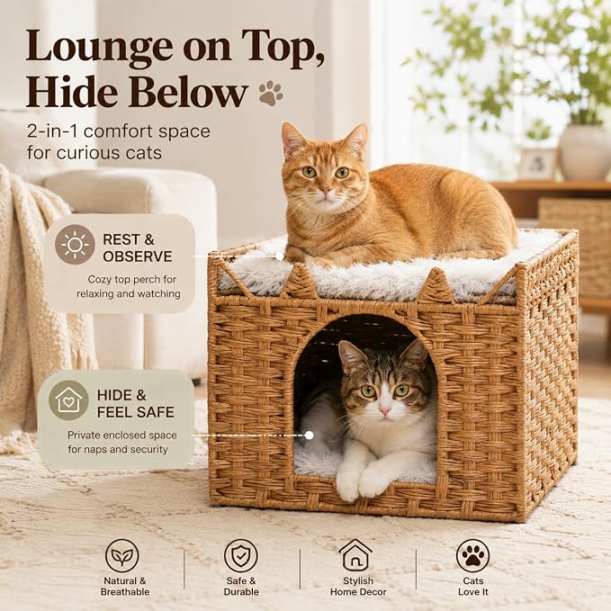 Cat Bed with Ears - Handwoven Rattan Cat Cave House for Indoor Kittens, Foldable Hideaway with 2 Removable Cushions, 16.5x16.5x13.2 Inch Natural Pet Cube for Living Room/Bedroom Natural - Image 2