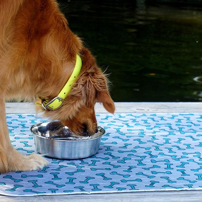 rocket & rex Washable Dog Pee Pads, Leak-Proof (Large, 30x36, 2pk) | For potty training, whelping, crate lining & more. Waterproof, Absorbent, OEKO-TEX certified, chemical-free. - Image 7