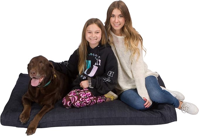 Pet Support Systems Orthopedic Dog Bed - Gel Memory Foam Pet Bed, Luxury Washable Dog Bed for Sleeping and Support (Removable Cover, XX-Large Blue Dog Bed) by BackSupportSystems