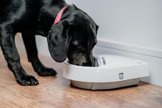 Cat Mate C300 Automatic 3 Meal Pet Feeder with Digital Timer for Cats and Small Dogs - Image 2