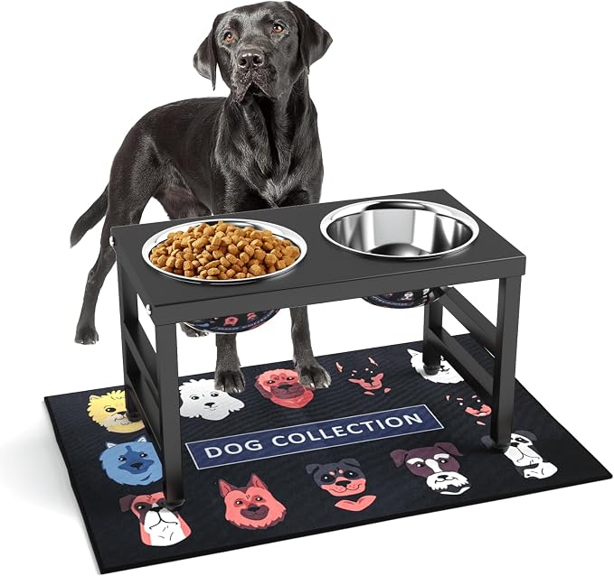 Metal Raised Dog Bowl, 10" Elevate Dog Feeder Stand, 2 Bowls & Non-Slip Mat by ADENGL