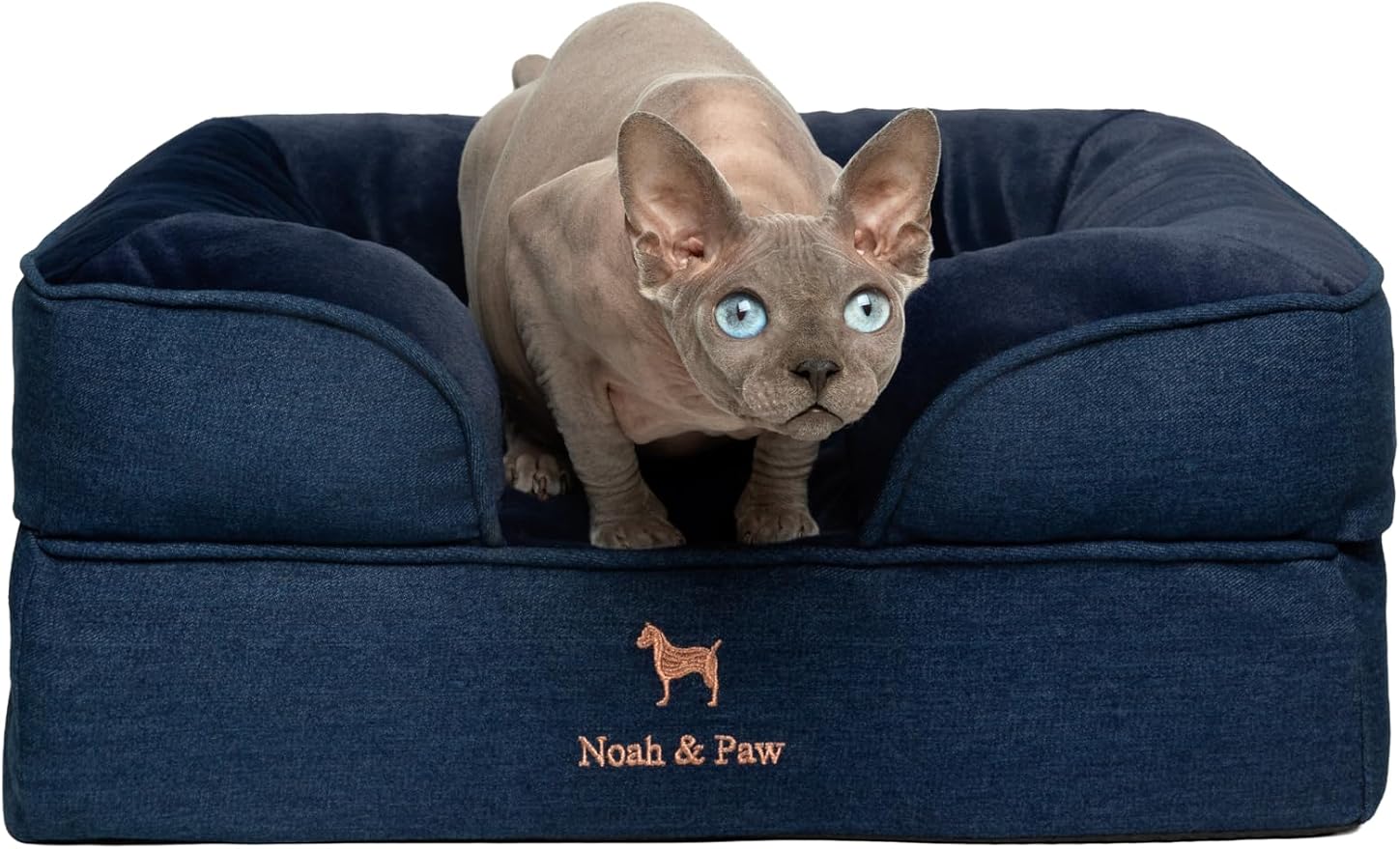NOAH & PAW Small Dog Bed, 20x15x8 Inch, Cat Bed for Indoor Cats, Orthopedic Eggshell Memory Foam Infused with Cooling Gel, Water Resistant Inner Cover Machine Washable (Denim Collection) by NoahPaw