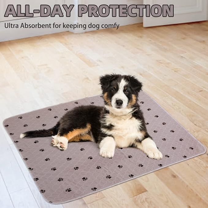 PUPTECK Washable Pee Pads for Dogs Dog Training Pads 2 Pack Brown 34x36 in | Reusable Puppy Potty Training Pads Whelping Mat Pet Food Feeding Mat Leakproof Fast Absorption Non-Slip for Couch, Crate - Image 8