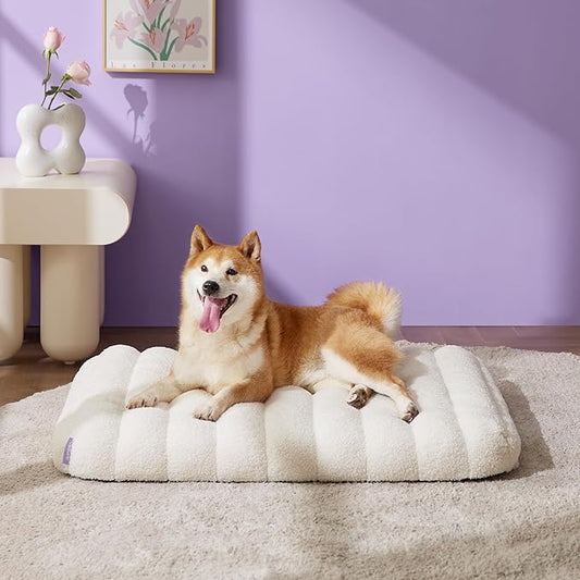 LE SURE Cute Orthopedic Dog Bed Medium Size Dog, Waterproof Chic Flat Pet Beds with Removable Washable Cover, Fuzzy Thick Egg Crate Foam Pet Mat for Indoor Use (30" x 20", Cream) by Lesure
