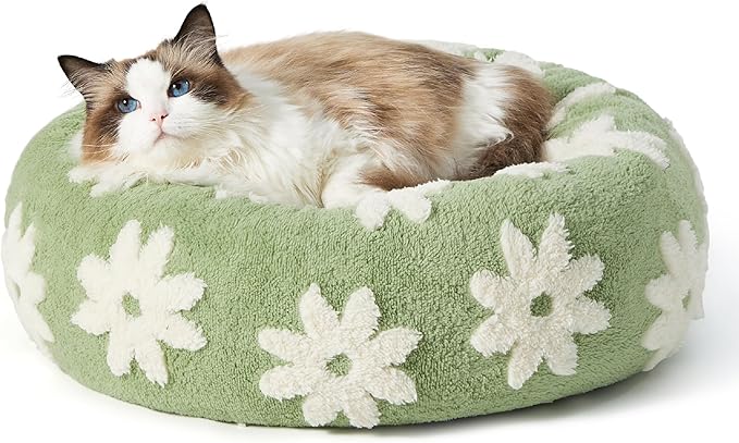 LE SURE Shown on TV Donut Cat Beds for Indoor Cats - Round Small Dog Bed Calming Gift for Pets, Cute Modern Home Decor Beds with Jacquard Shaggy Plush & Anti Slip Bottom, 20 Inch, Green by Lesure