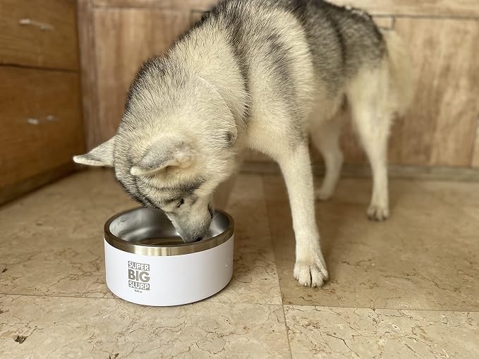 Tuff Pupper 100 oz Heavy Duty Insulated Stainless Steel Dog Bowl for Large Dogs, Non-Slip Base, Dishwasher Safe - Image 7