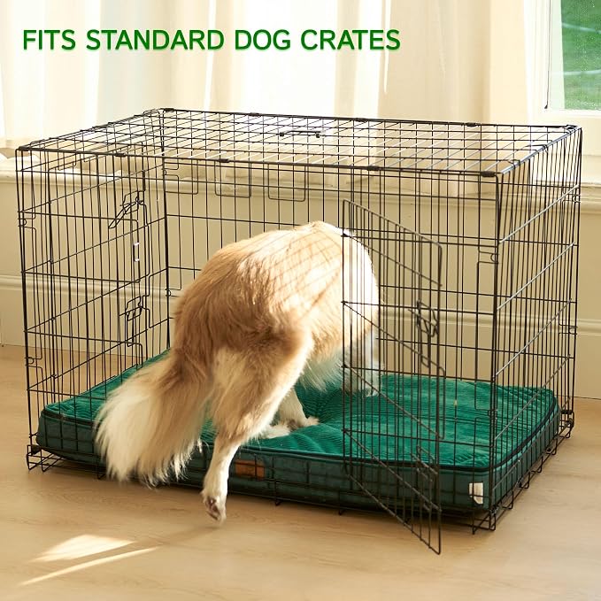 LIORCE Memory Foam XL Dog Bed - 4” Thick Orthopedic Beds for Extra Large Dogs - Waterproof Dog Bed with Removable Washable Cover & Wrap-Around Zipper - Ultimate Comfort and Easy Maintenance, Green - Image 5