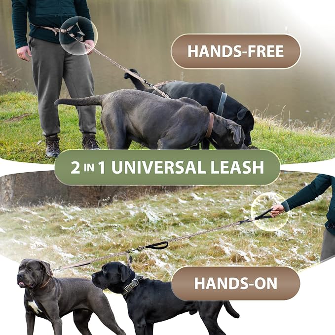 SparklyPets Hands Free Double Dog Leash – Dual Leash for Medium and Large Breeds – Lead for 2 Dogs with Padded Handles, Reflective Stitches, No Pull, Tangle Free (Brown) - Image 6