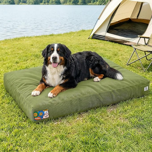 Sytopia 47 Inch Canvas Outdoor Dog Bed for XXL Dogs, Durable Dog Bed with Waterproof Machine Washable Removable Cover, Indoor Patio Pet Pad for Crate, Green by Sytopia