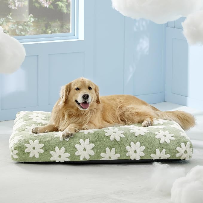 LE SURE Extra Large Dog Bed-Thick Shredded Chopped Foam Pet Bed Indoor with Removable Cover, Cute Modern Fuzzy Plush & Anti Slip Bottom, Green | Shredded Chopped Foam,Modern Plush Crate Cushion Gift for Extra Large Dog, Waterproof Washable Cover, Anti ... - Image 5